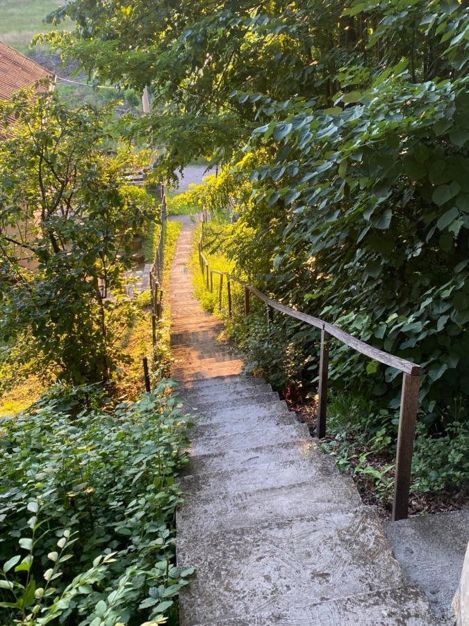Konaci Nikola Banja Vrujci Hotel Gornja Toplica Buitenkant foto