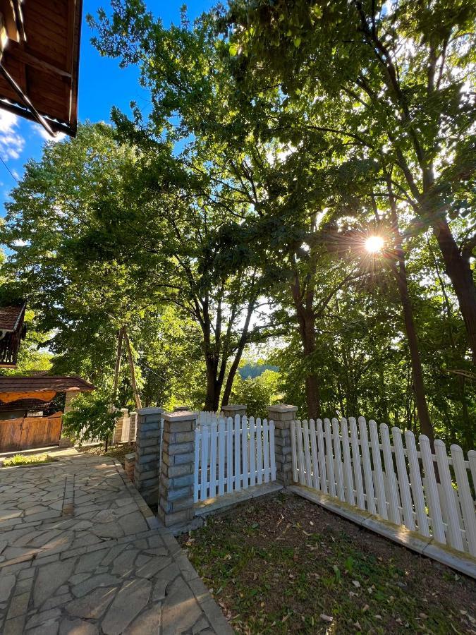 Konaci Nikola Banja Vrujci Hotel Gornja Toplica Buitenkant foto