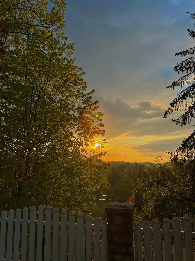 Konaci Nikola Banja Vrujci Hotel Gornja Toplica Buitenkant foto