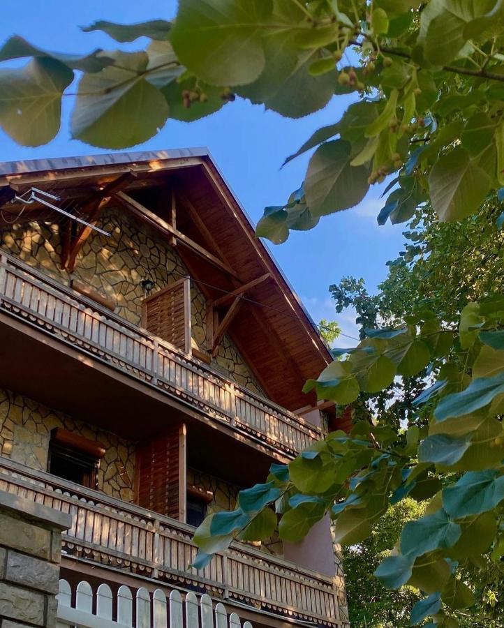 Konaci Nikola Banja Vrujci Hotel Gornja Toplica Buitenkant foto